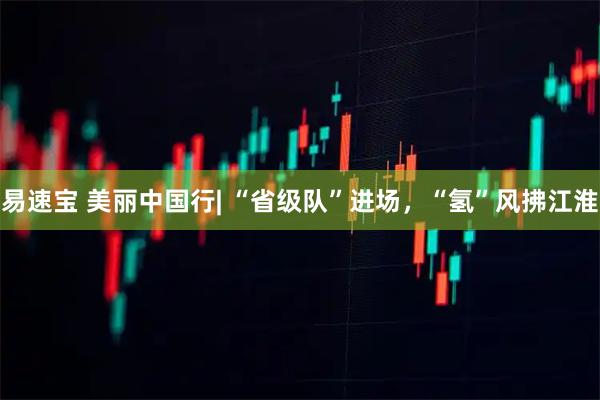 易速宝 美丽中国行| “省级队”进场，“氢”风拂江淮