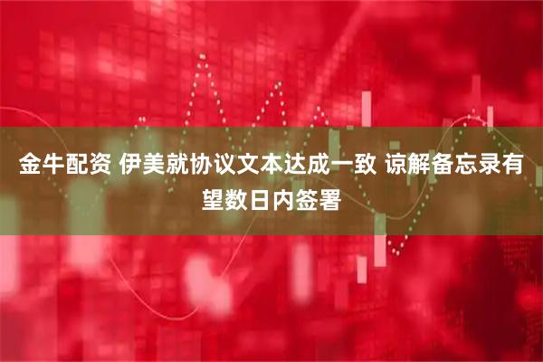 金牛配资 伊美就协议文本达成一致 谅解备忘录有望数日内签署