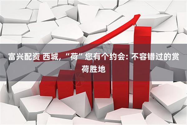 富兴配资 西城, “荷”您有个约会: 不容错过的赏荷胜地